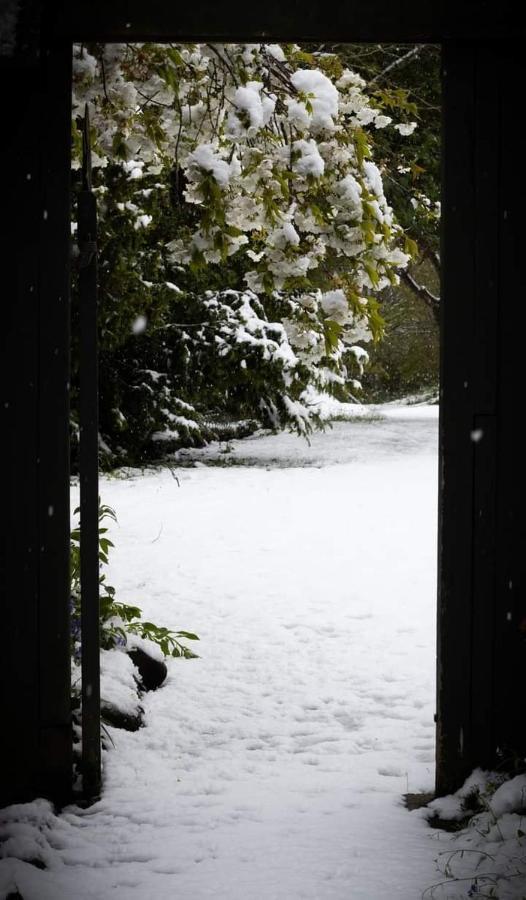 Arden Country House BnB Dunedin Exterior foto
