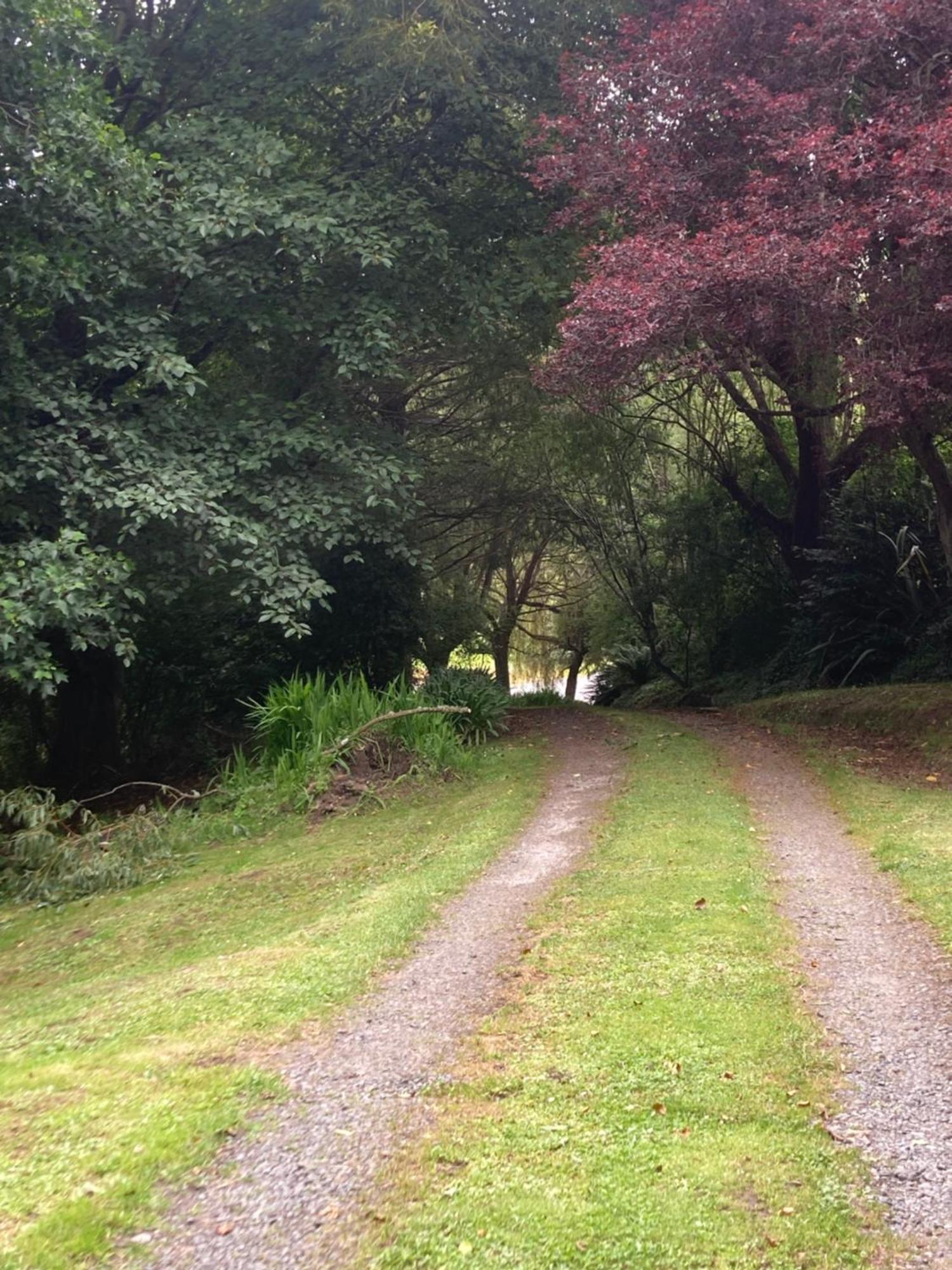 Arden Country House BnB Dunedin Exterior foto